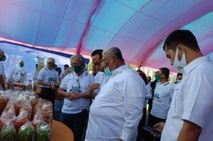 Gubernur Sultra Dorong Konsumsi Pangan Lokal