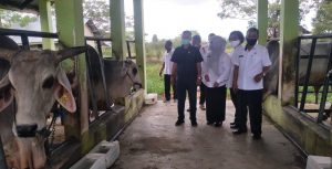 DPRD Sultra Dukung Pemprov DKI Jakarta Investasi Ternak di Sultra